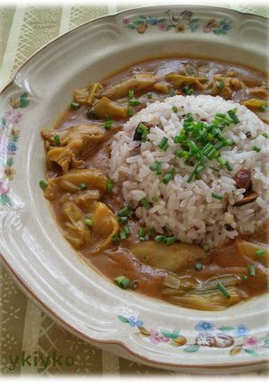 圧力鍋ｄｅトロトロねぎの豚ごぼうカレー-レシピのメイン写真