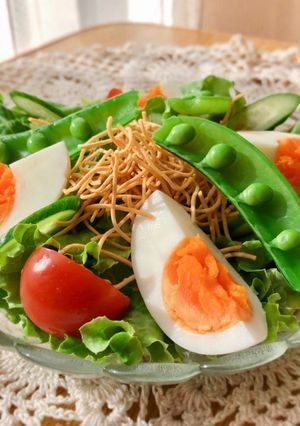 パリパリ麺のサラダ-レシピのメイン写真