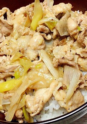 豚肉のネギ塩丼-レシピのメイン写真