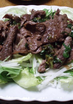 ジャンで食べる焼肉サラダ-レシピのメイン写真
