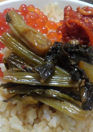 野沢菜の佃煮?-レシピのメイン写真