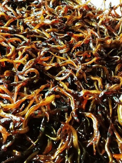 いかなごのくぎ煮-レシピのメイン写真