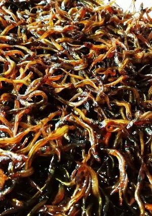 いかなごのくぎ煮-レシピのメイン写真