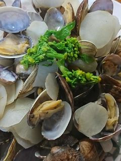 あさりと菊芋のバター蒸し焼き-レシピのメイン写真
