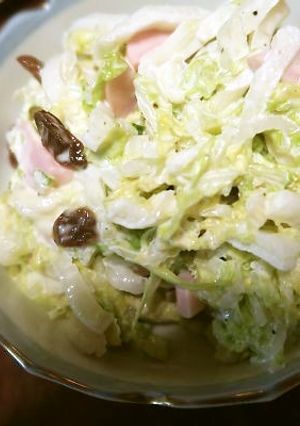 白菜のサラダ-レシピのメイン写真
