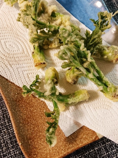 たらの芽天ぷら-レシピのメイン写真