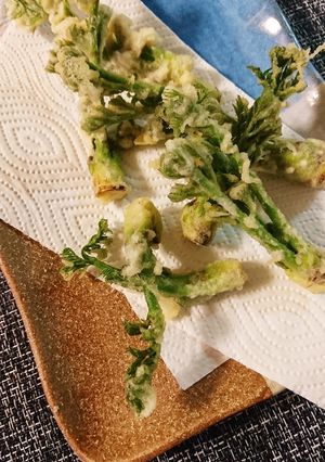 たらの芽天ぷら-レシピのメイン写真
