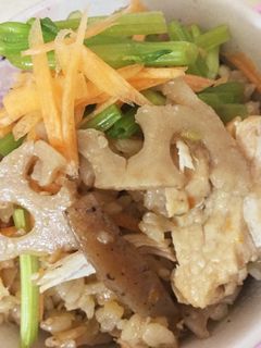 根菜かしわ(鶏)炊き込みご飯-レシピのメイン写真