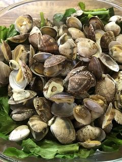 春満開*菜の花とあさりのワイン蒸し-レシピのメイン写真