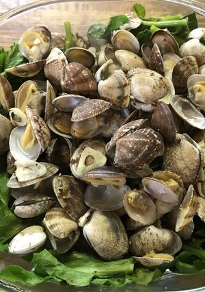 春満開＊菜の花とあさりのワイン蒸し-レシピのメイン写真
