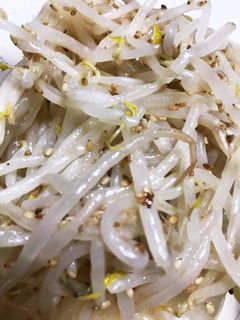 簡単!もやしのナムル-レシピのメイン写真