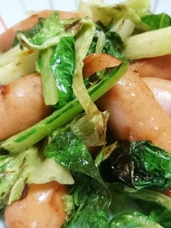 茎レタス炒め-レシピのメイン写真
