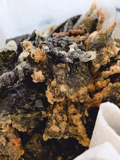 海苔の天ぷら-レシピのメイン写真