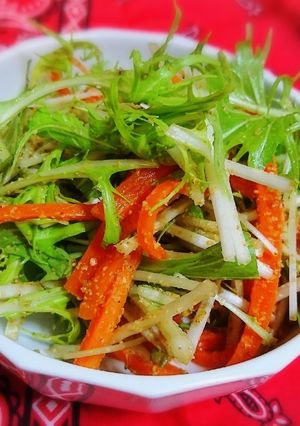 水菜と人参の胡麻和え-レシピのメイン写真