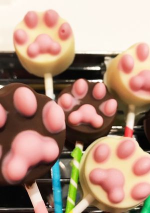 肉球チョコ-レシピのメイン写真