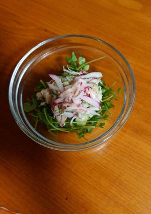 ツナと豆苗サラダ-レシピのメイン写真