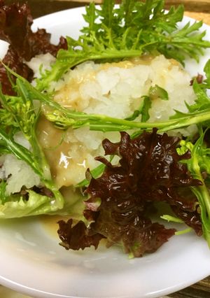 鬼おろし大根のサラダ-レシピのメイン写真