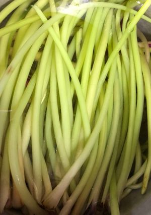 つわぶきの皮の剥き方(下処理)-レシピのメイン写真