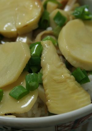 ほぼタケノコ☆中華丼-レシピのメイン写真