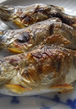 泳いでおります♪岩魚の串焼き♪鮎でもOK-レシピのメイン写真