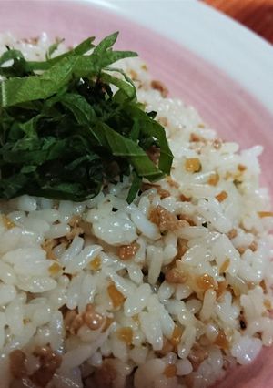 苦手克服【鶏そぼろのジンジャー混ぜご飯】-レシピのメイン写真