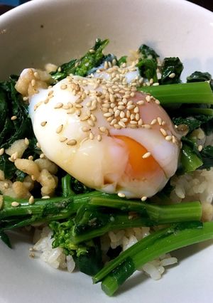 食欲ない時に♪菜花どんぶり-レシピのメイン写真