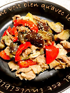 ご飯が進む!なすと赤パプリカの豚味噌炒め-レシピのメイン写真