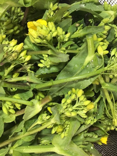 無農薬野菜の菜の花 下処理方法-レシピのメイン写真
