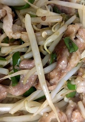 豚肉とモヤシのオイスター炒め-レシピのメイン写真