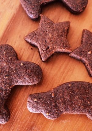 バター不使用 型抜き ココアクッキー-レシピのメイン写真