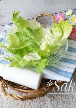 シャキシャキレタス✨ちょっとしたコツで-レシピのメイン写真