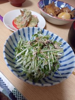 ☆水菜とツナの塩昆布サラダ☆-レシピのメイン写真