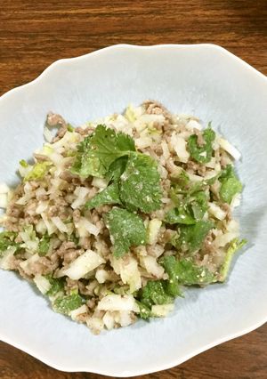 うちのラーブ-レシピのメイン写真