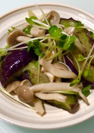 蒸し茄子としめじのおろしポン酢サラダ-レシピのメイン写真