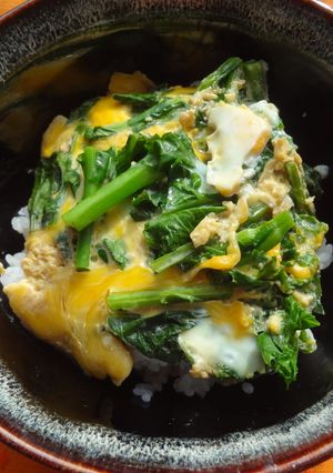 とう菜の親子丼風-レシピのメイン写真