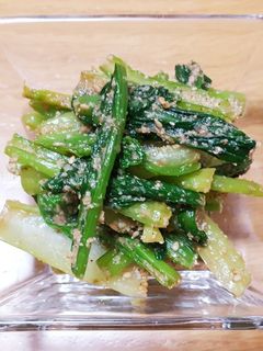 小松菜のごま和え-レシピのメイン写真