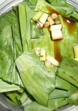 強烈美味♪行者にんにくの醤油付け♪-レシピのメイン写真