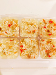 離乳食中期☆野菜と鶏むね肉の出汁粥-レシピのメイン写真