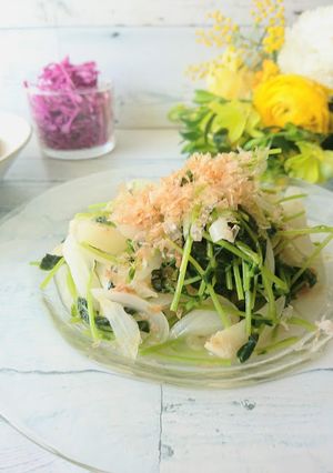 春！新玉ねぎと豆苗のおかか蒸し-レシピのメイン写真