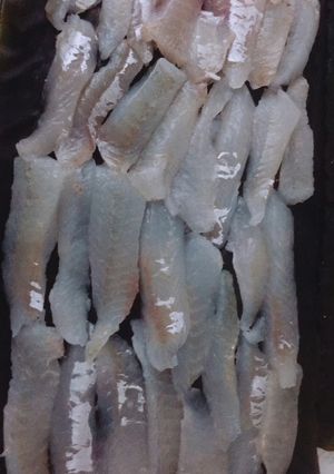 金頭(カナガシラ)昆布締め作り方-レシピのメイン写真