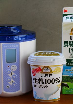 小岩井生乳100％ヨーグルトでヨーグルト-レシピのメイン写真