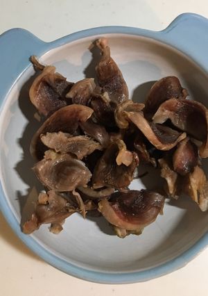 砂ずり(砂肝)で犬のソフトジャーキー-レシピのメイン写真