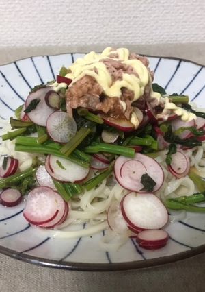 つぼみ菜とラディッシュのサラダうどん-レシピのメイン写真