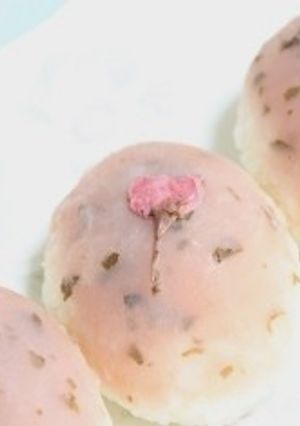 桜のぼたもち-レシピのメイン写真