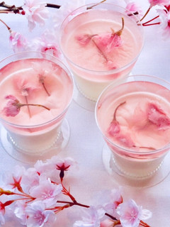 桜のゼリーとパンナコッタ -レシピのメイン写真