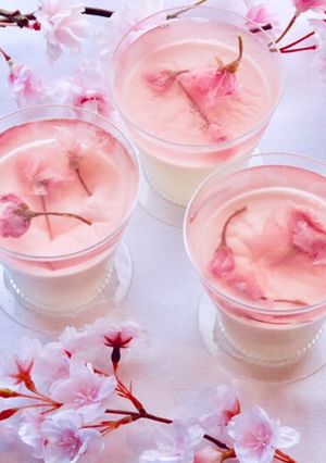 桜のゼリーとパンナコッタ　-レシピのメイン写真
