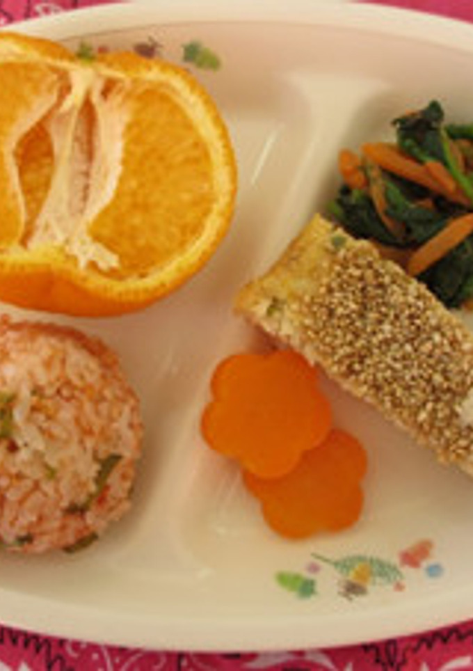 鶏の松風焼鶏の松風焼＠つくば市幼児食-レシピのメイン写真