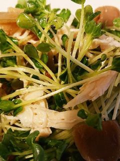 鶏ささみとカイワレのザーサイ和え-レシピのメイン写真