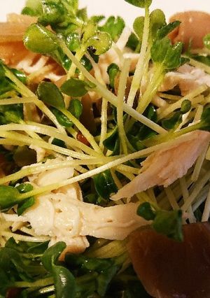 鶏ささみとカイワレのザーサイ和え-レシピのメイン写真