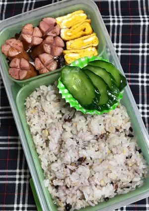 20190322マイ弁当-レシピのメイン写真